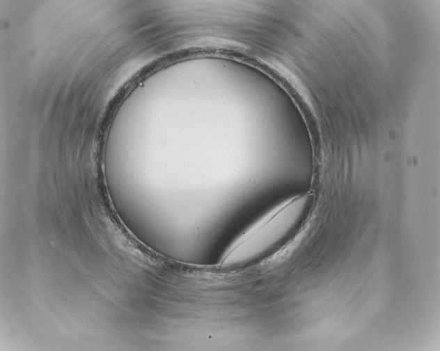 X0000088610783200706151826