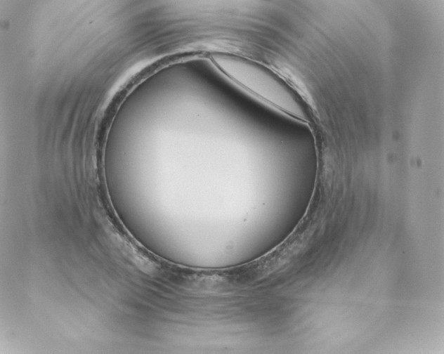 X0000088610784200706151826