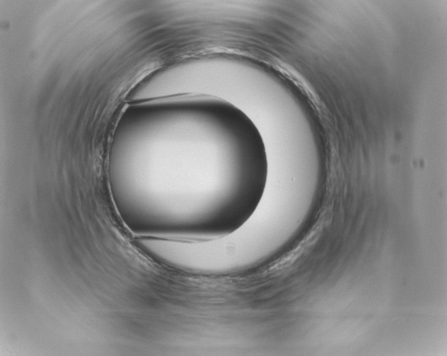 X0000088610785200706151826