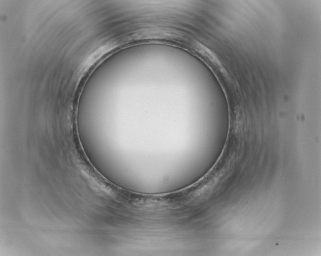 X0000088610786200706151826