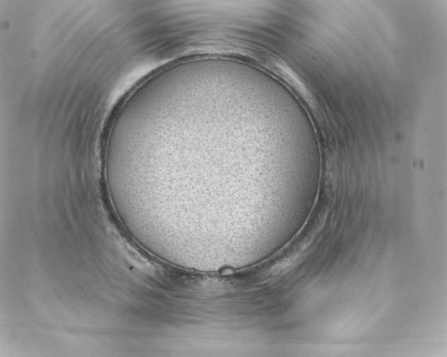 X0000088610787200706151826