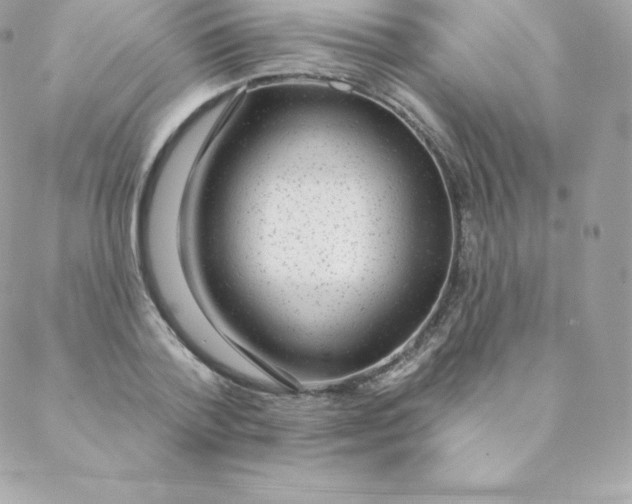 X0000088610788200706151826