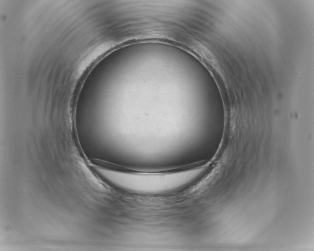 X0000088610789200706151826