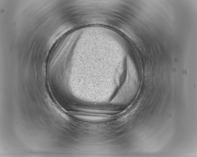 X0000088610790200706151825