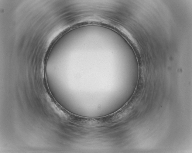 X0000088610791200706151825