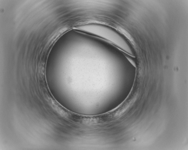 X0000088610793200706151825