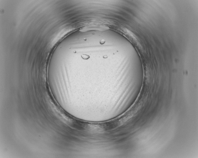 X0000088610794200706151825