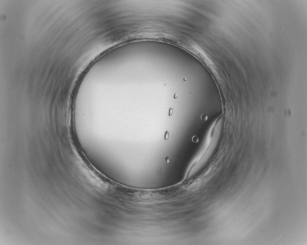 X0000088610795200706151825