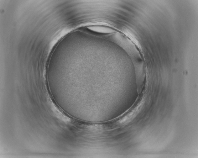 X0000088610797200706151825