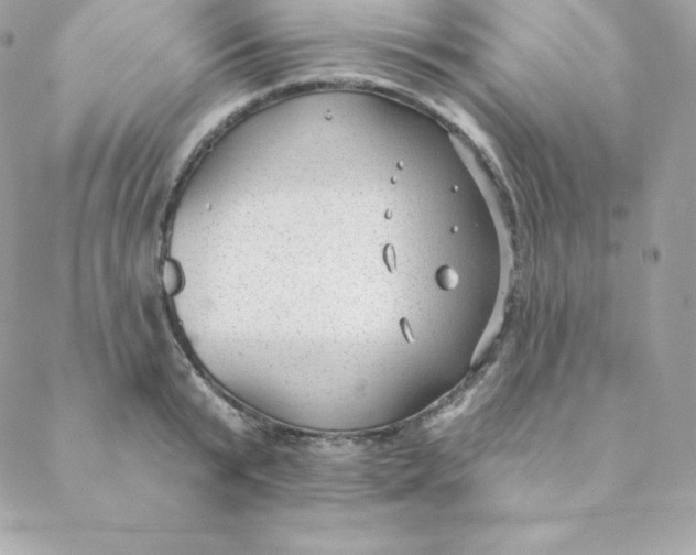 X0000088610799200706151825