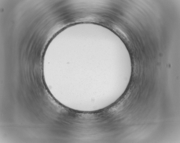 X0000088610800200706151825