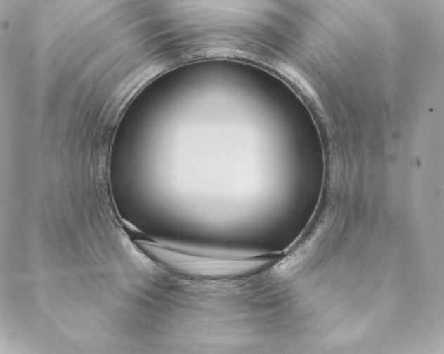 X0000088610801200706151825