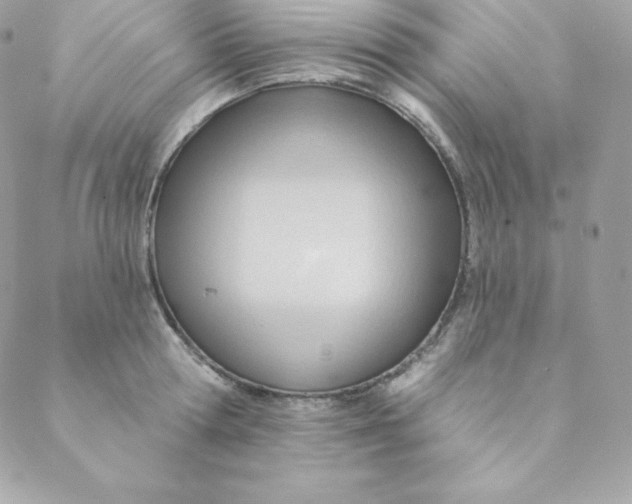 X0000088610802200706151825