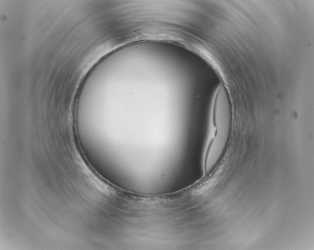 X0000088610803200706151825