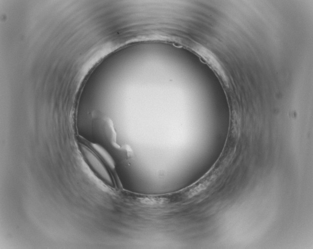 X0000088610805200706151825