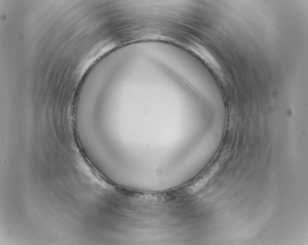 X0000088610806200706151825