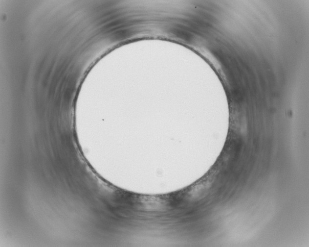 X0000088610807200706151825