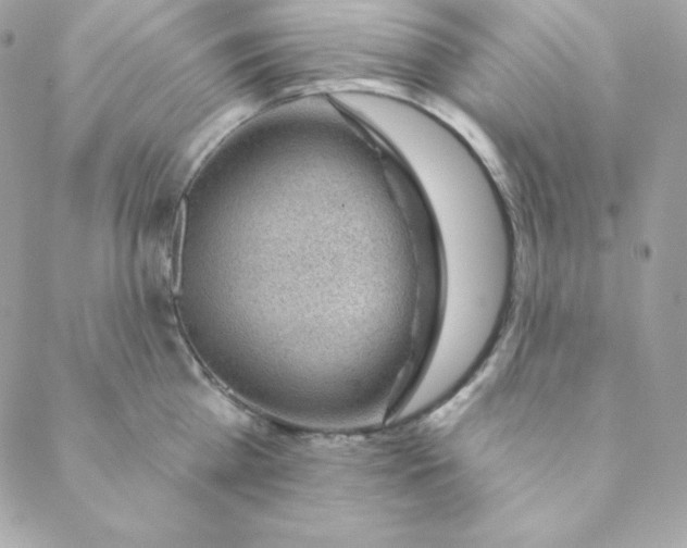 X0000088610809200706151825