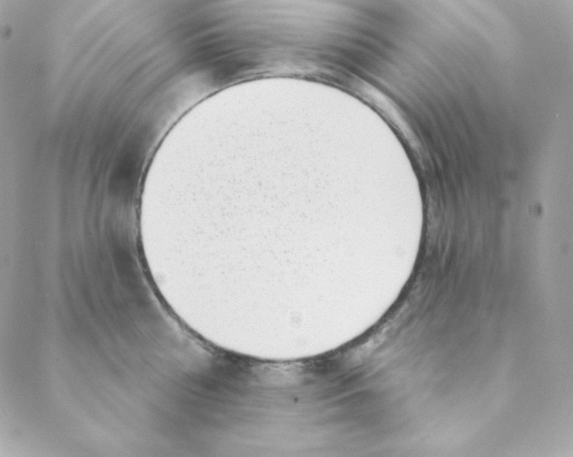 X0000088610810200706151825