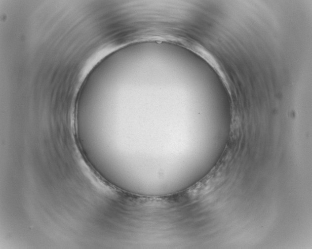 X0000088610811200706151825