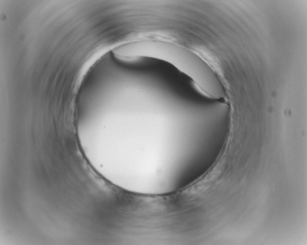 X0000088610816200706151825