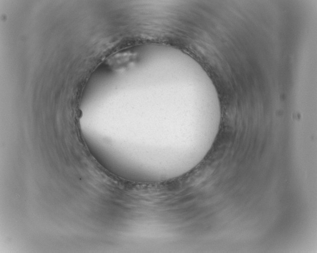 X0000088610817200706151824