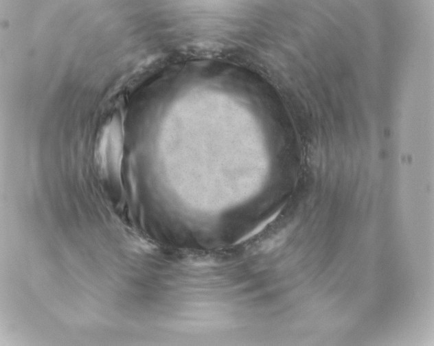 X0000088610818200706151824