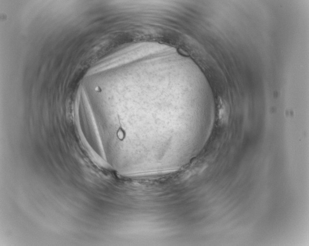 X0000088610819200706151824