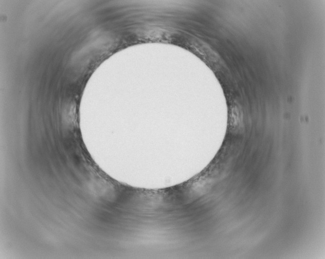 X0000088610820200706151824