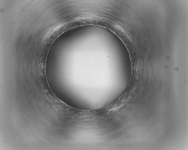 X0000088610822200706151824