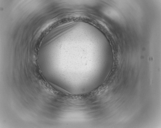 X0000088610823200706151824