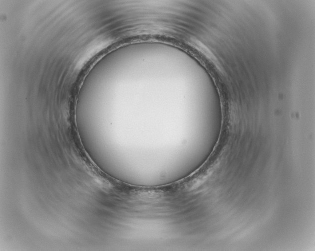 X0000088610826200706151824