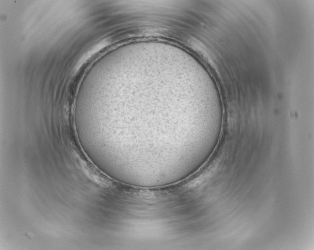 X0000088610827200706151824