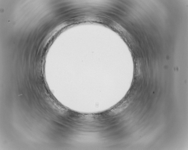 X0000088610828200706151824