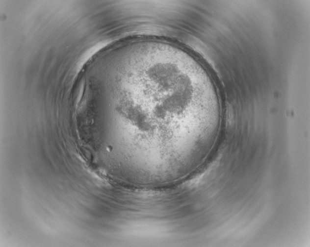 X0000088610829200706151824