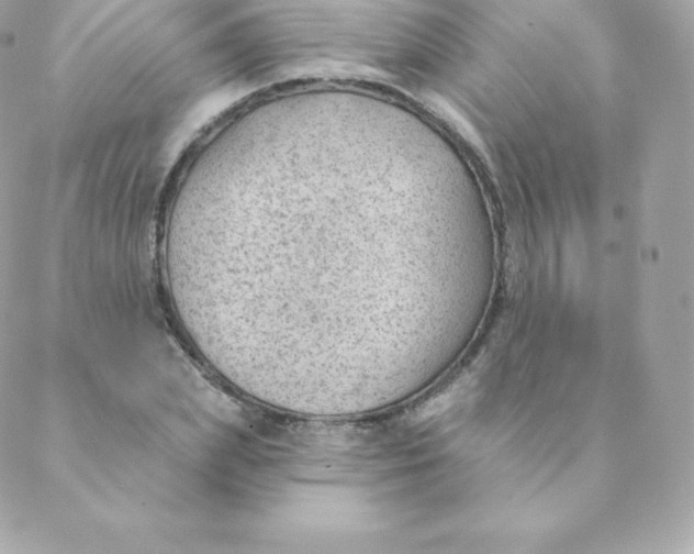 X0000088610831200706151825