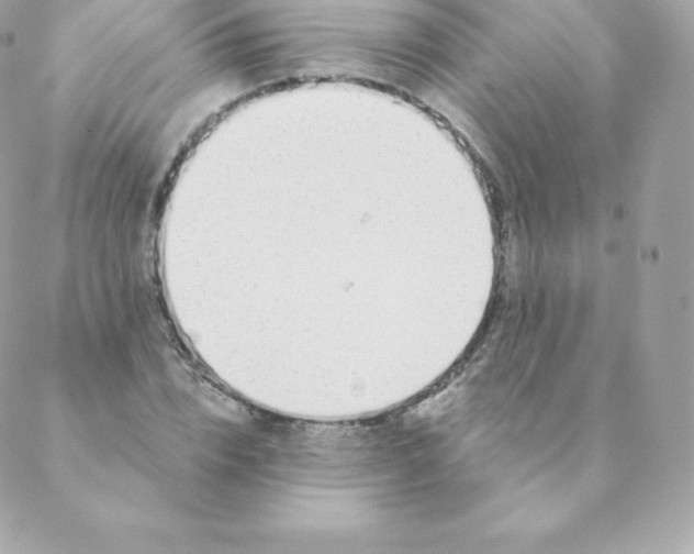 X0000088610832200706151825