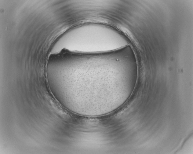 X0000088610833200706151825