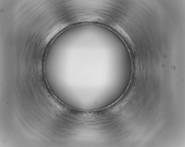 X0000088610834200706151825