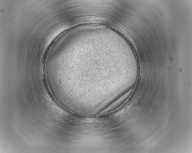 X0000088610835200706151825