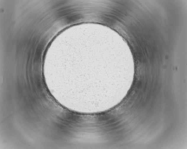 X0000088610836200706151825