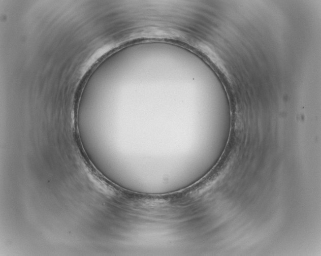 X0000088610837200706151825