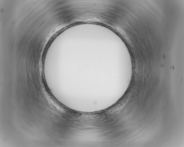 X0000088610840200706151825