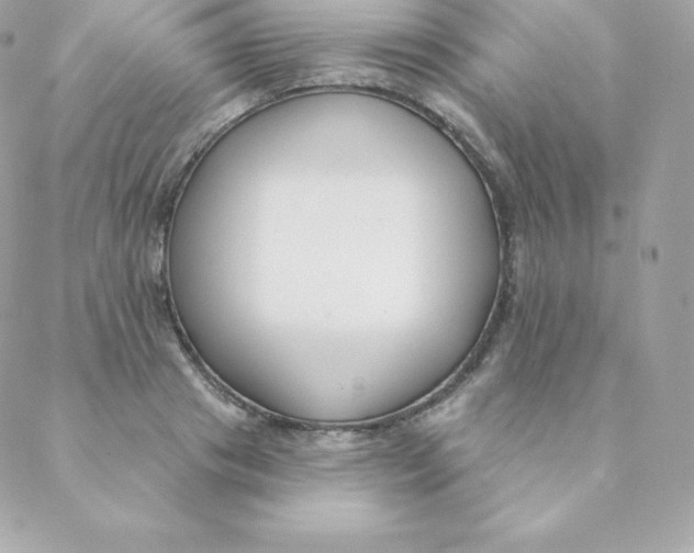 X0000088610841200706151825