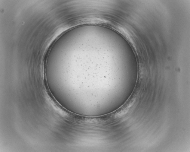 X0000088610843200706151825