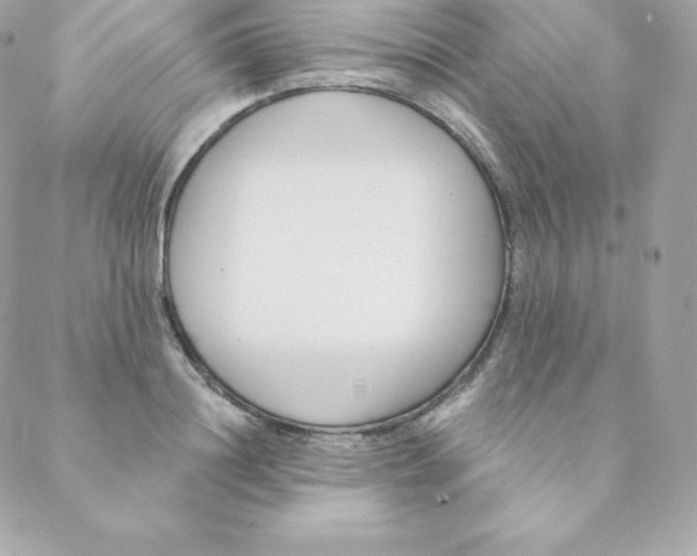 X0000088610844200706151825