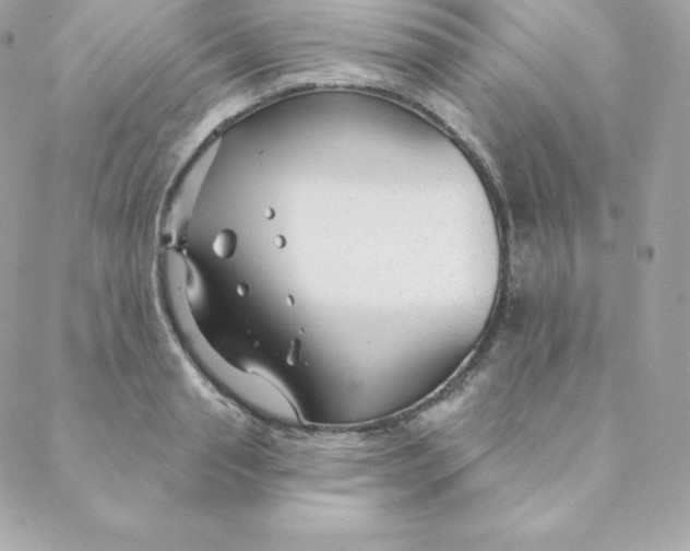 X0000088610845200706151825