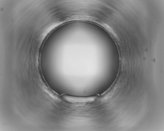 X0000088610846200706151825