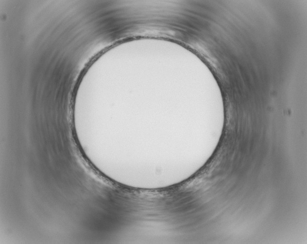 X0000088610848200706151825