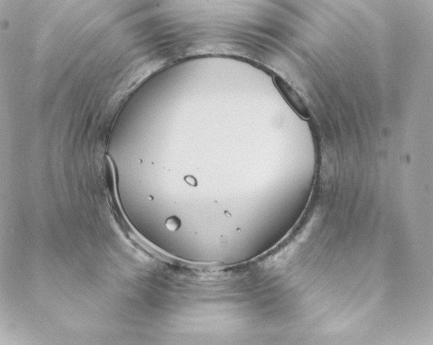 X0000088610849200706151825